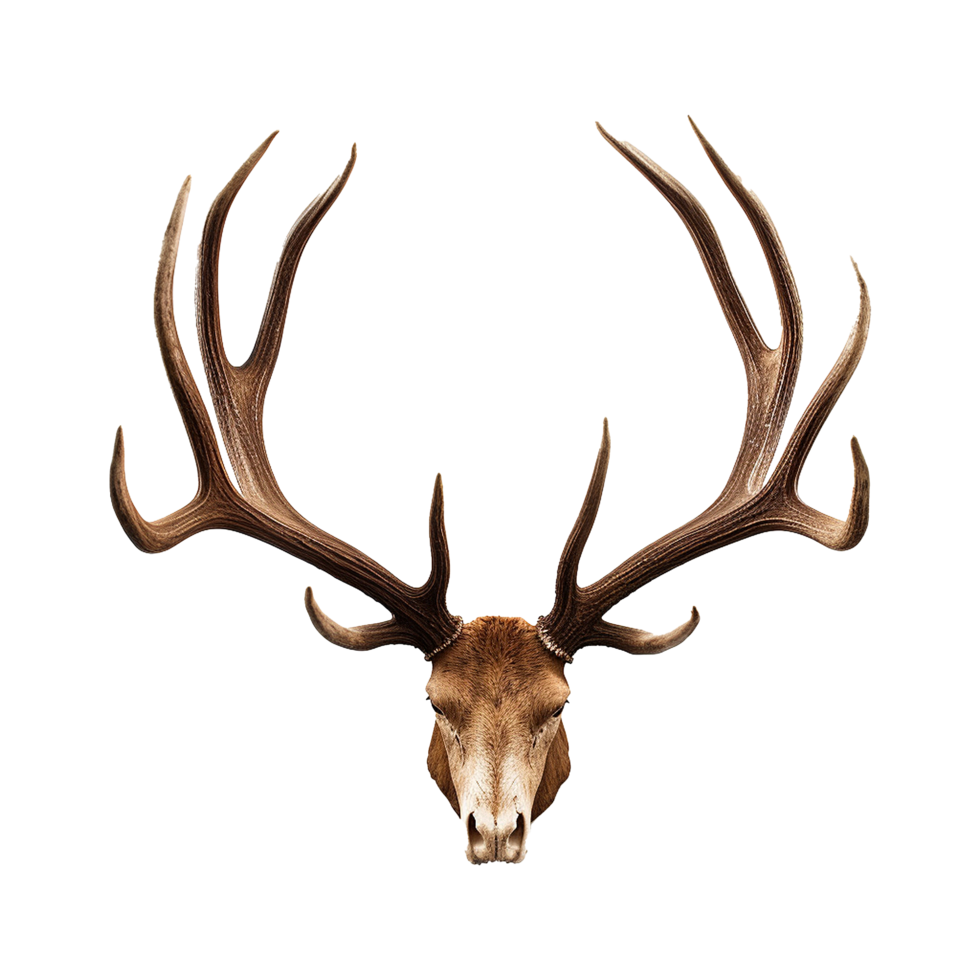 AI generated Antlers png isolated on transparent background
