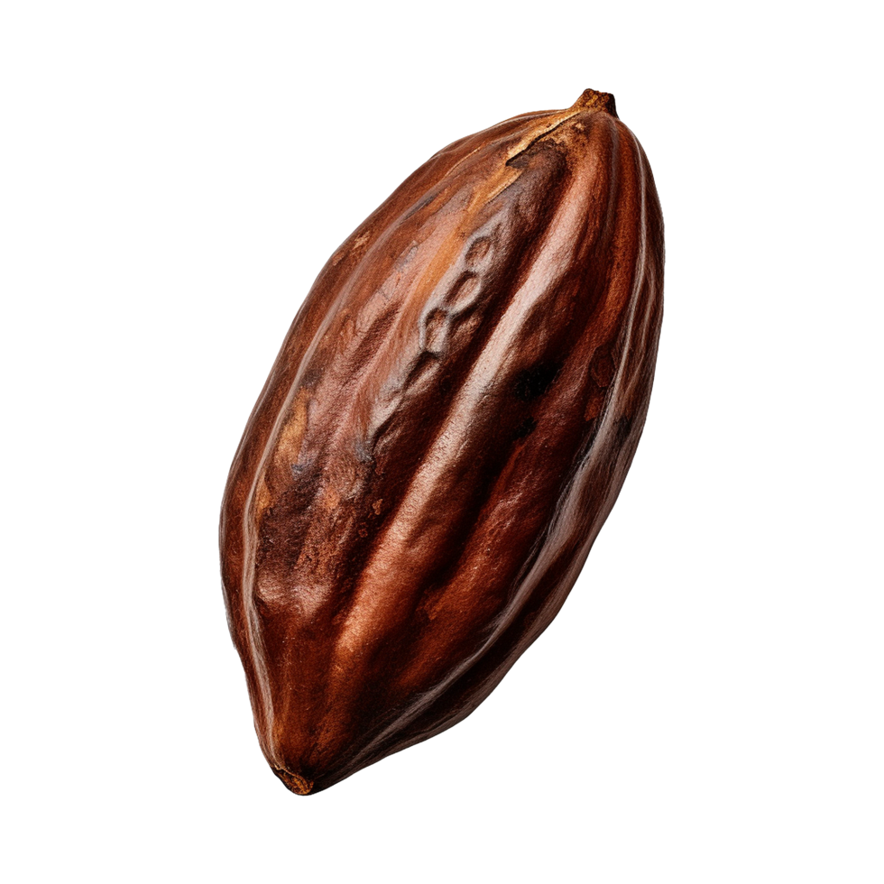 AI generated Cocoa png isolated on transparent background