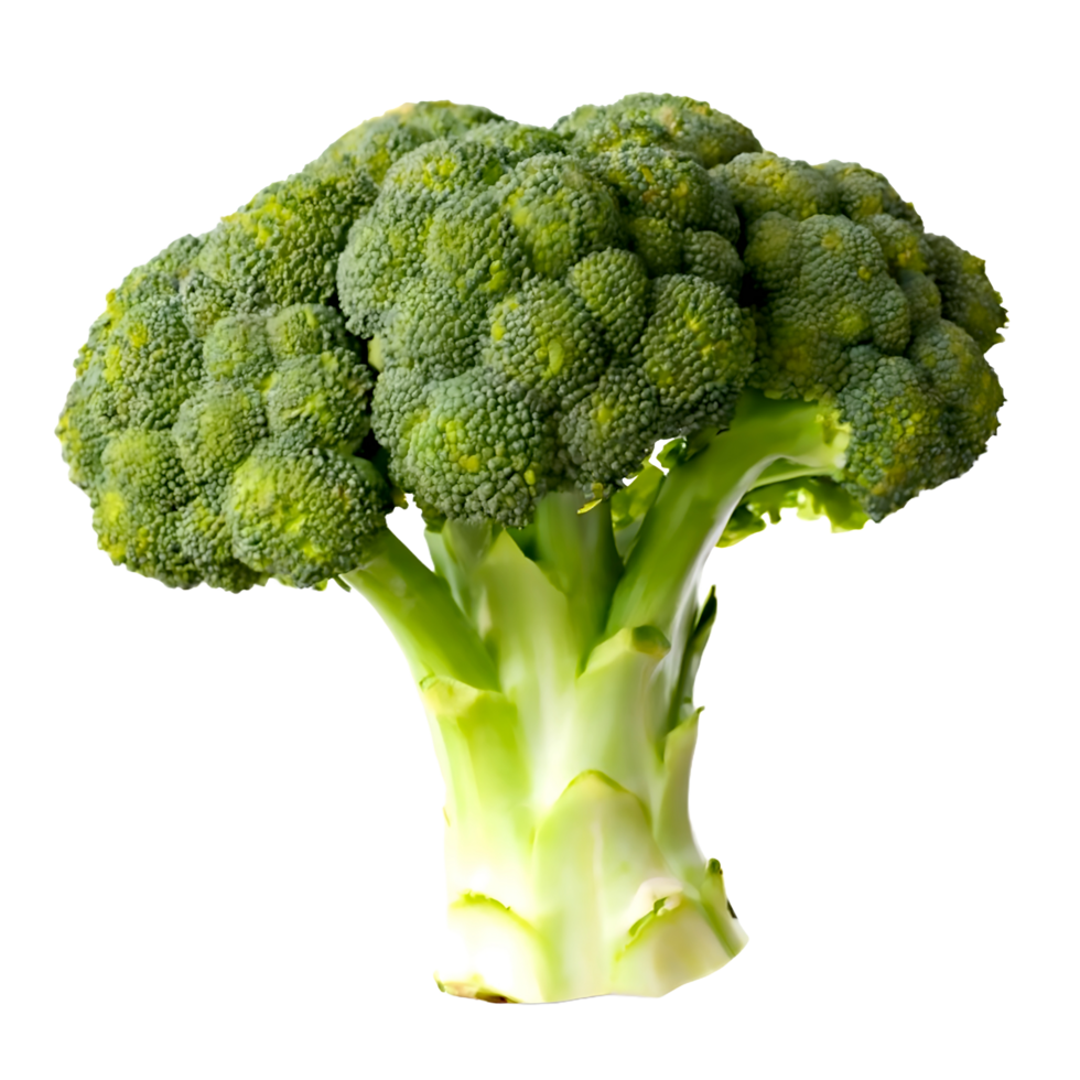 AI generated A fresh broccoli isolated on a white or transparent background png