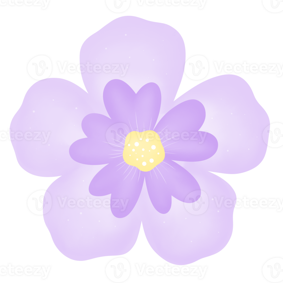 purple flower blossom png