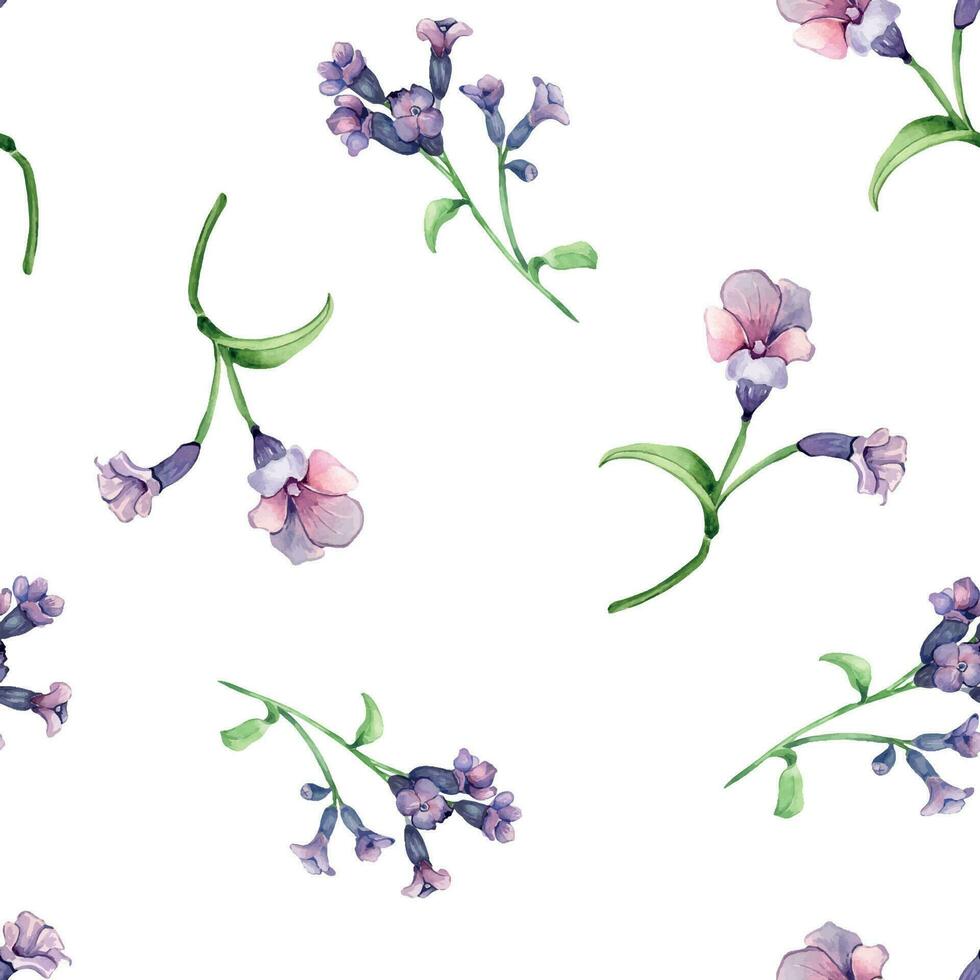 Lungwort medicinal plant watercolor seamless pattern isolated on white background. Pulmonaria officinalis purple useful flower hand drawn. Design for label, package, textile, wrapping vector