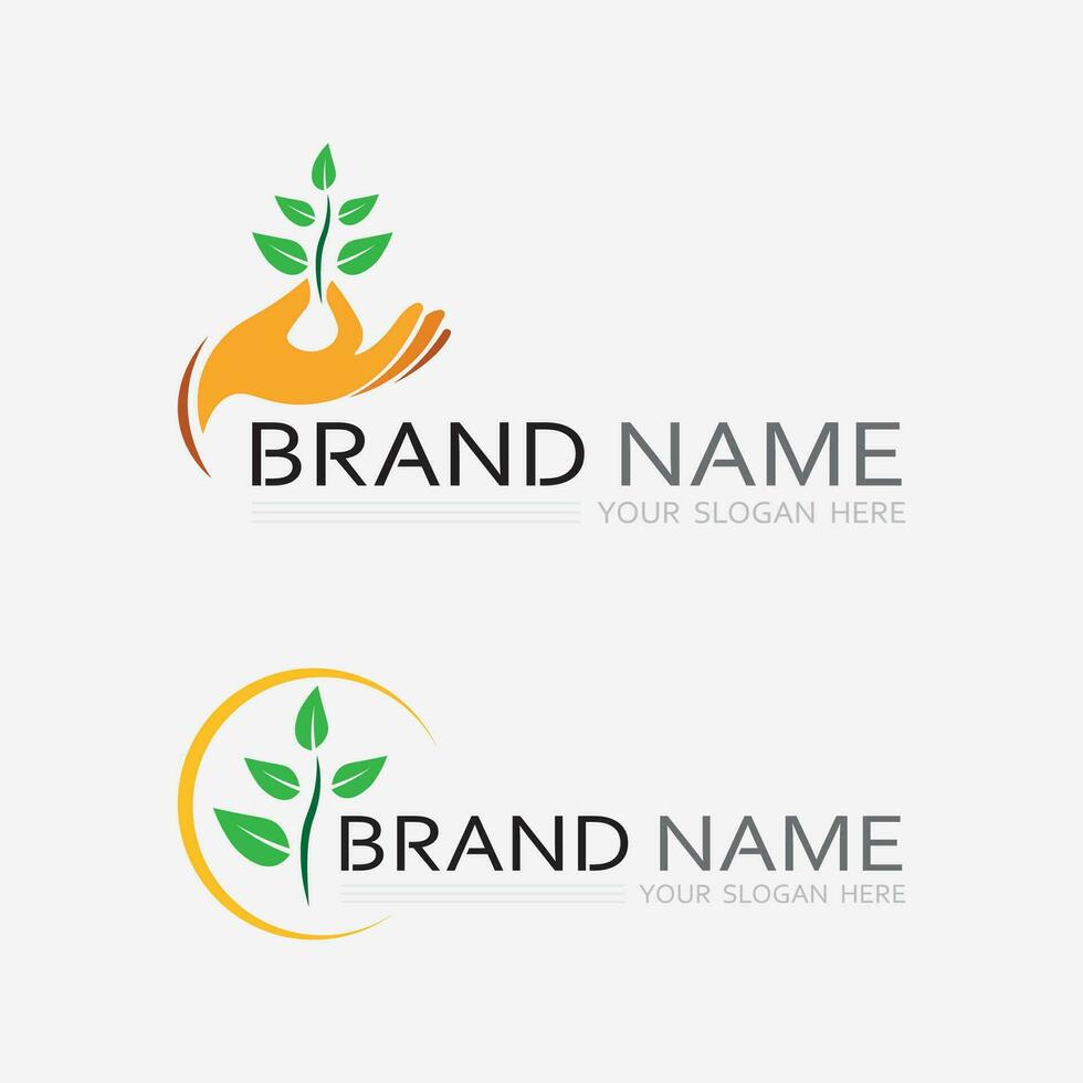 hospital and health care logo design vector cross logo design graphic