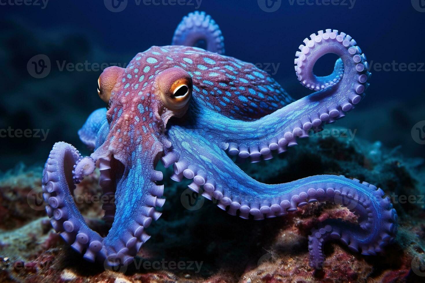 AI generated Octopus on the bottom of the sea. Close-up. photo