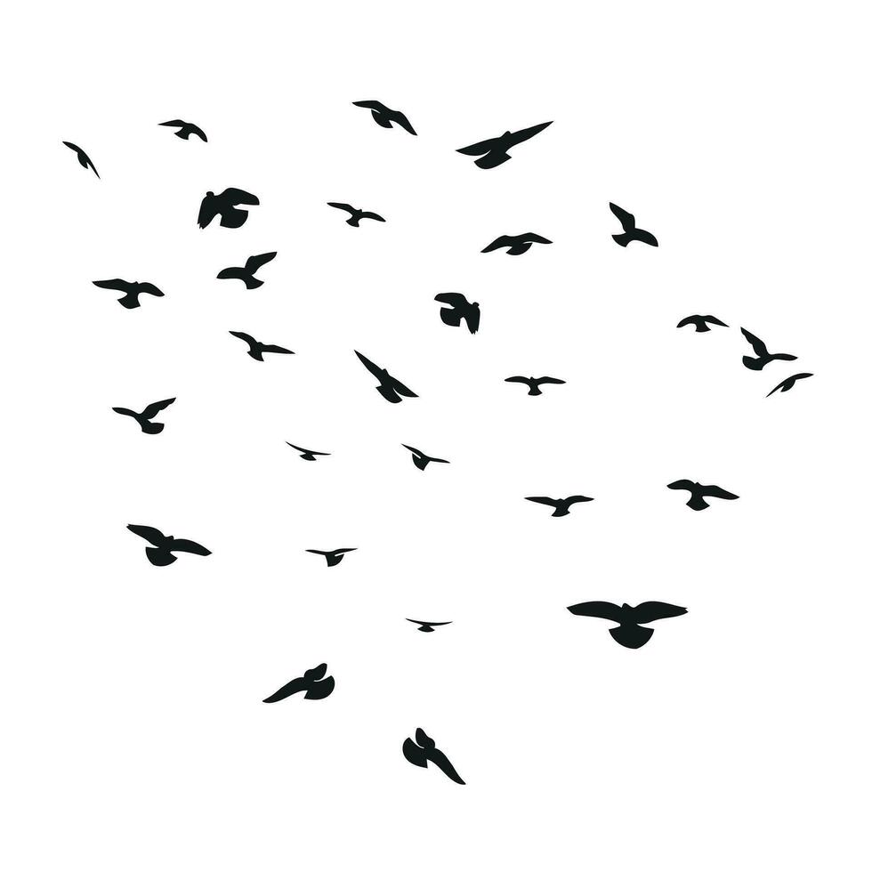 Silhouette sketch of a flock of flying birds, flight in different positions. Takeoff, flying, flight, flutter, hover, soaring, landing vector