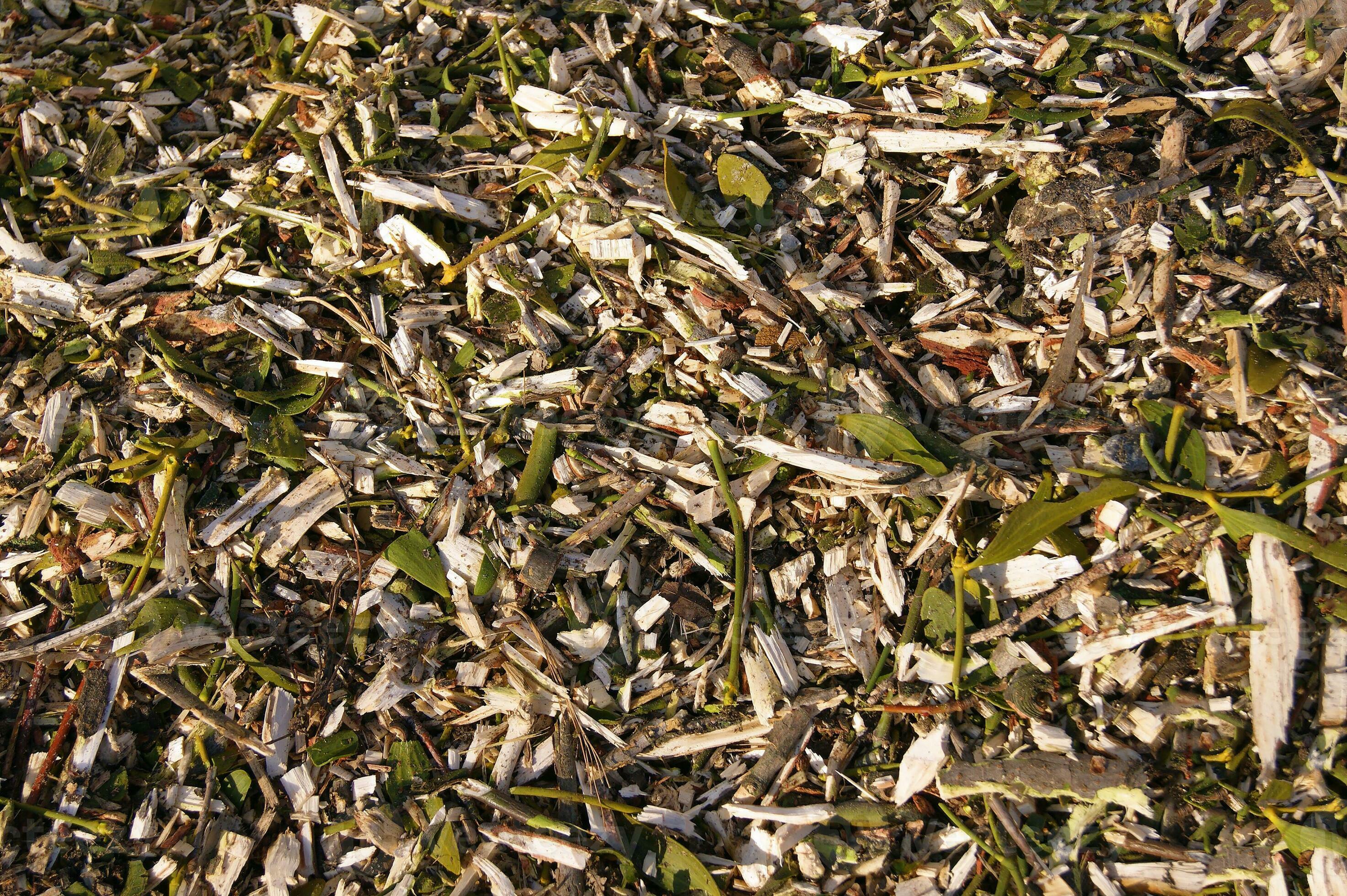 Background from sawdust and green grass. 35987498 Stock Photo at Vecteezy