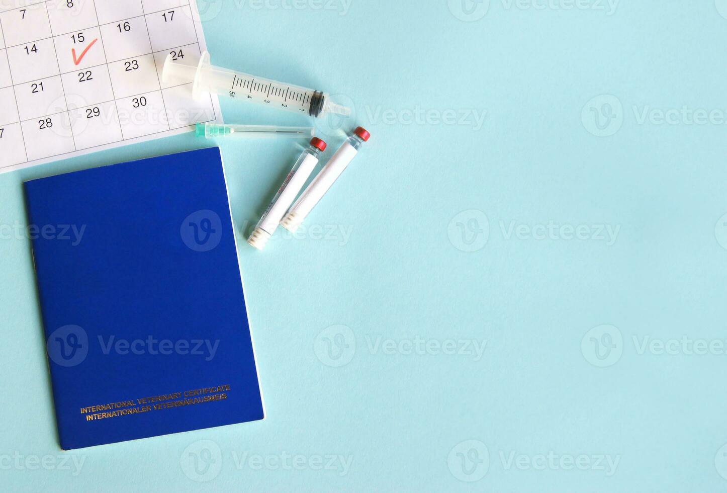 Blue International veterinary pet passport, syringe and ampoule with liquid on a light blue background. photo