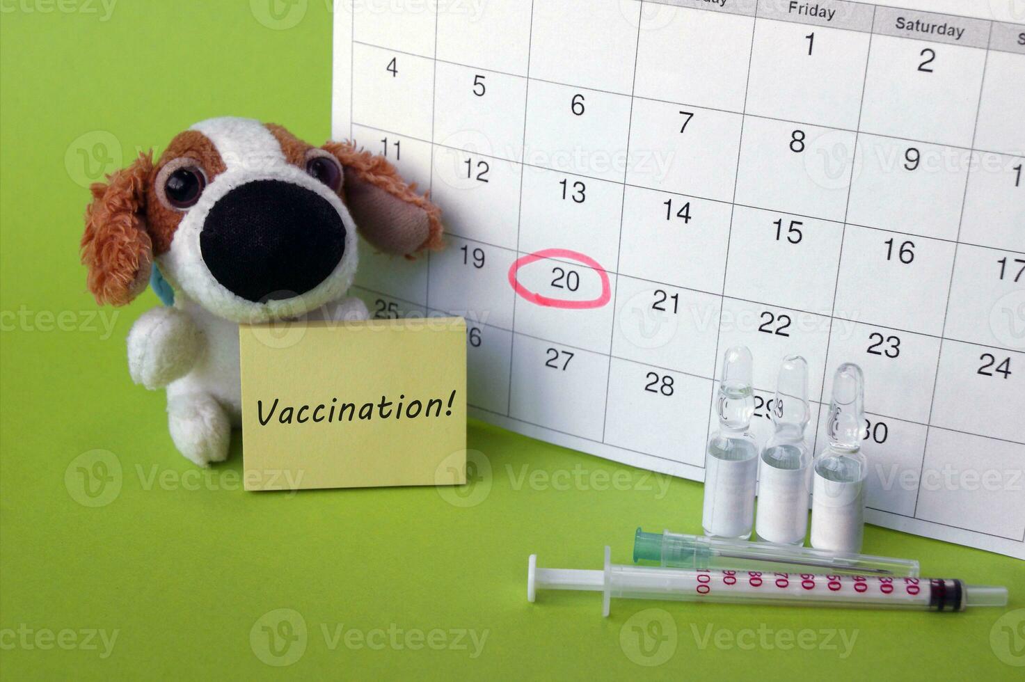 A syringe with ampoules, a soft toy a dog and a calendar with a marked date on light green background. photo