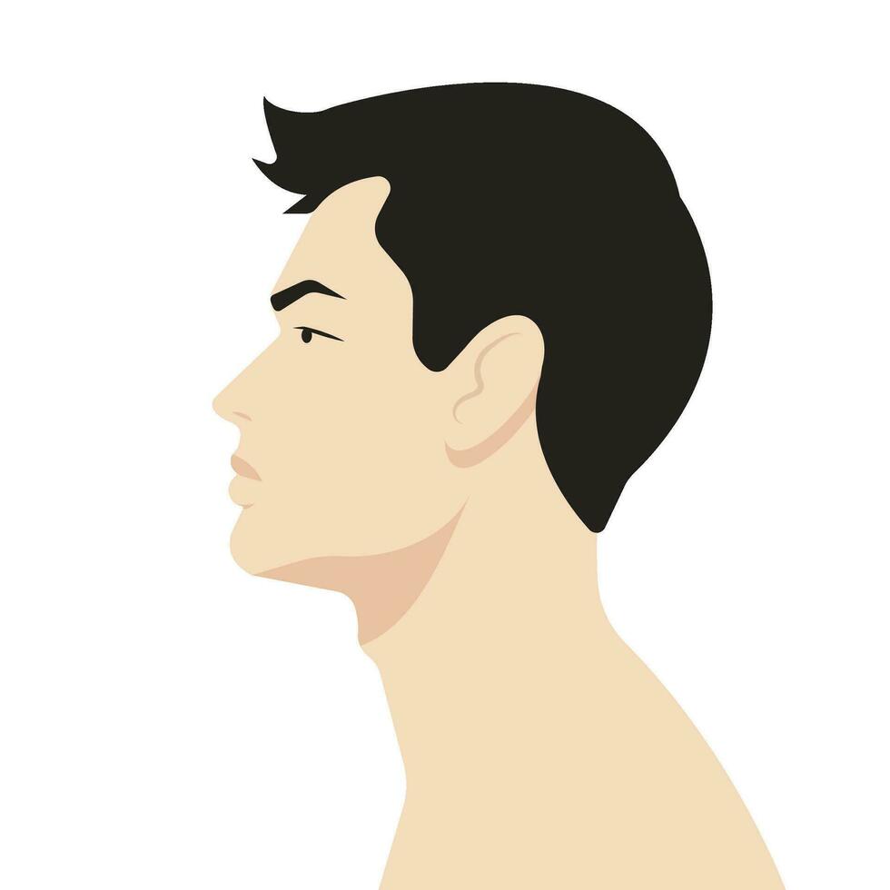 Profile portrait of a handsome young Asian man. Clean background. Head and shoulders side view. Sort black hair. vector