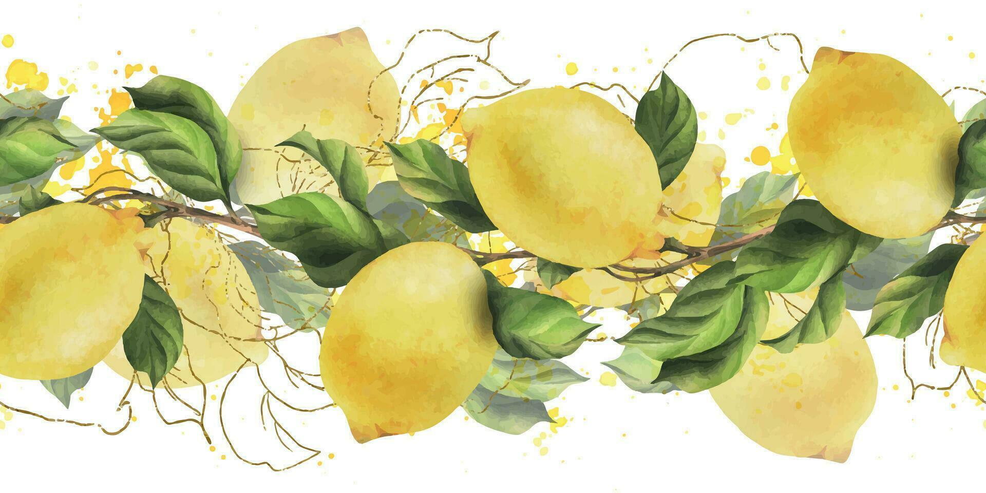 Lemons are yellow, juicy, ripe with green leaves, flower buds on the branches, whole. Watercolor, hand drawn botanical illustration. Seamless border on a white background vector