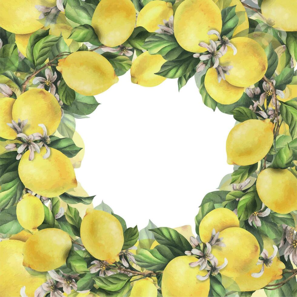 limones son amarillo, jugoso, maduro con verde hojas, flor brotes en el sucursales, todo y rebanadas acuarela, mano dibujado botánico ilustración. marco, modelo en un blanco antecedentes vector eps