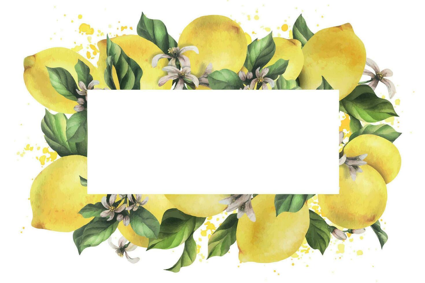 limones son amarillo, jugoso, maduro con verde hojas, flor brotes en el sucursales, todo y rebanadas acuarela, mano dibujado botánico ilustración. marco, modelo en un blanco antecedentes. vector