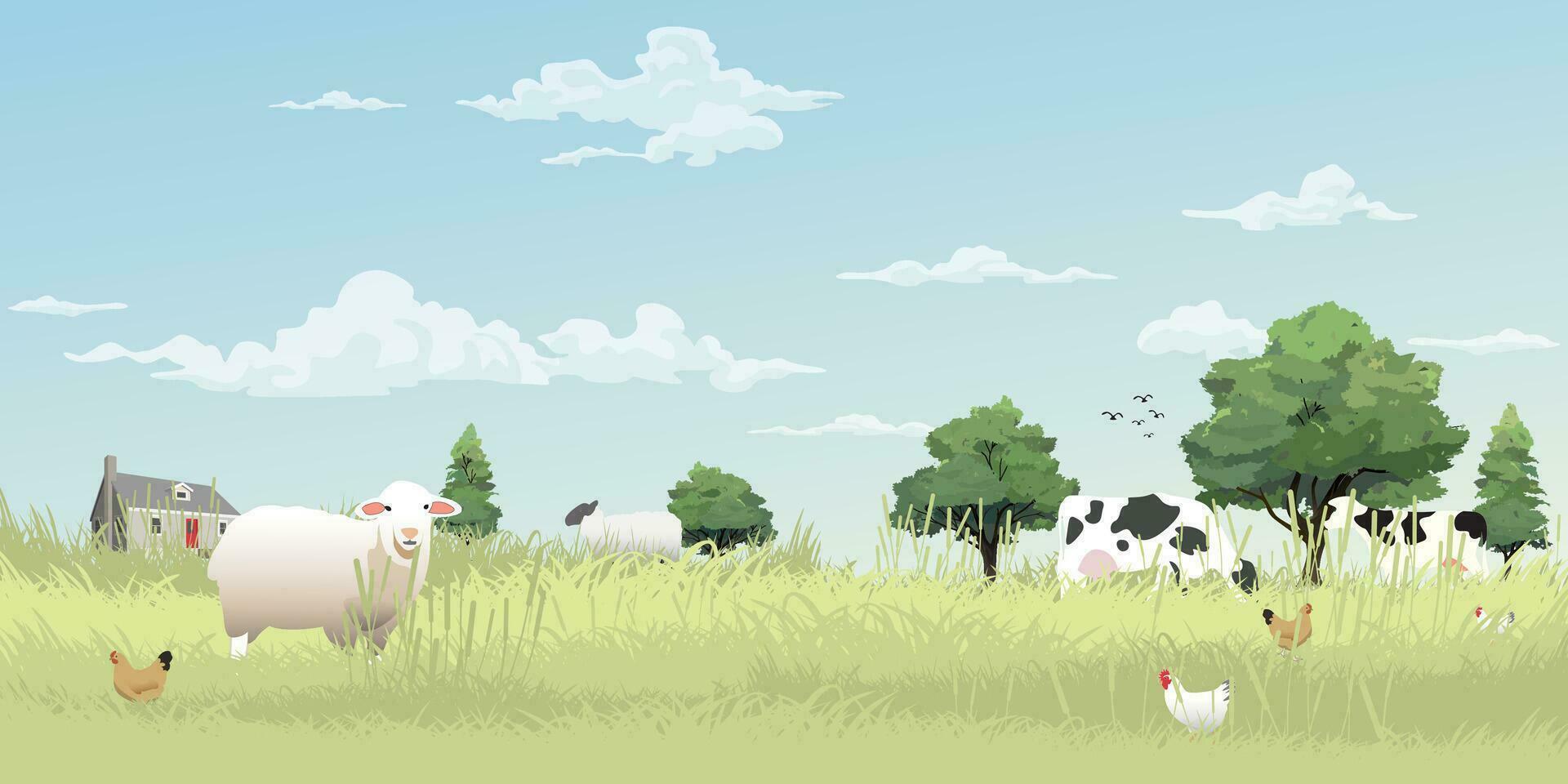 Rural farm landscape in the morning vector illustration with blank space. Livestock flat design for eco or daily products advertisement.