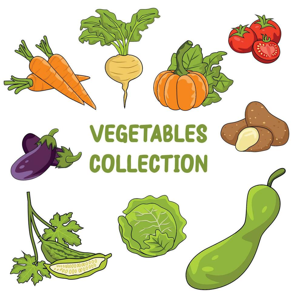 vegetales colección ilustración vector conjunto