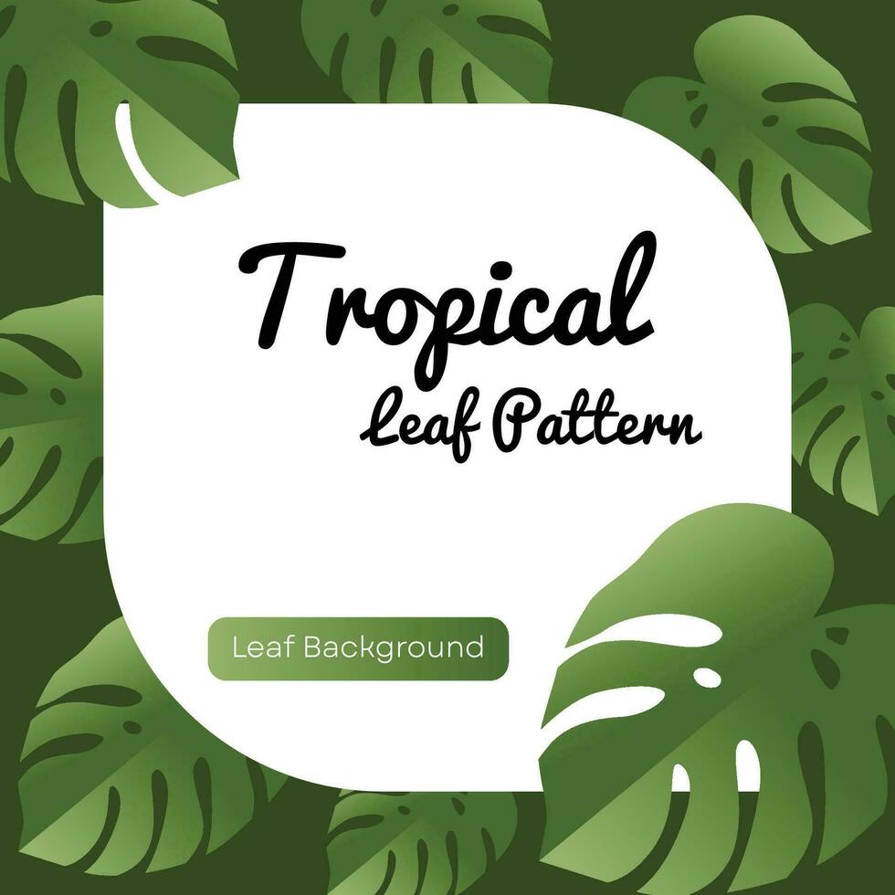 tropical leaf vector monstera plant pattern