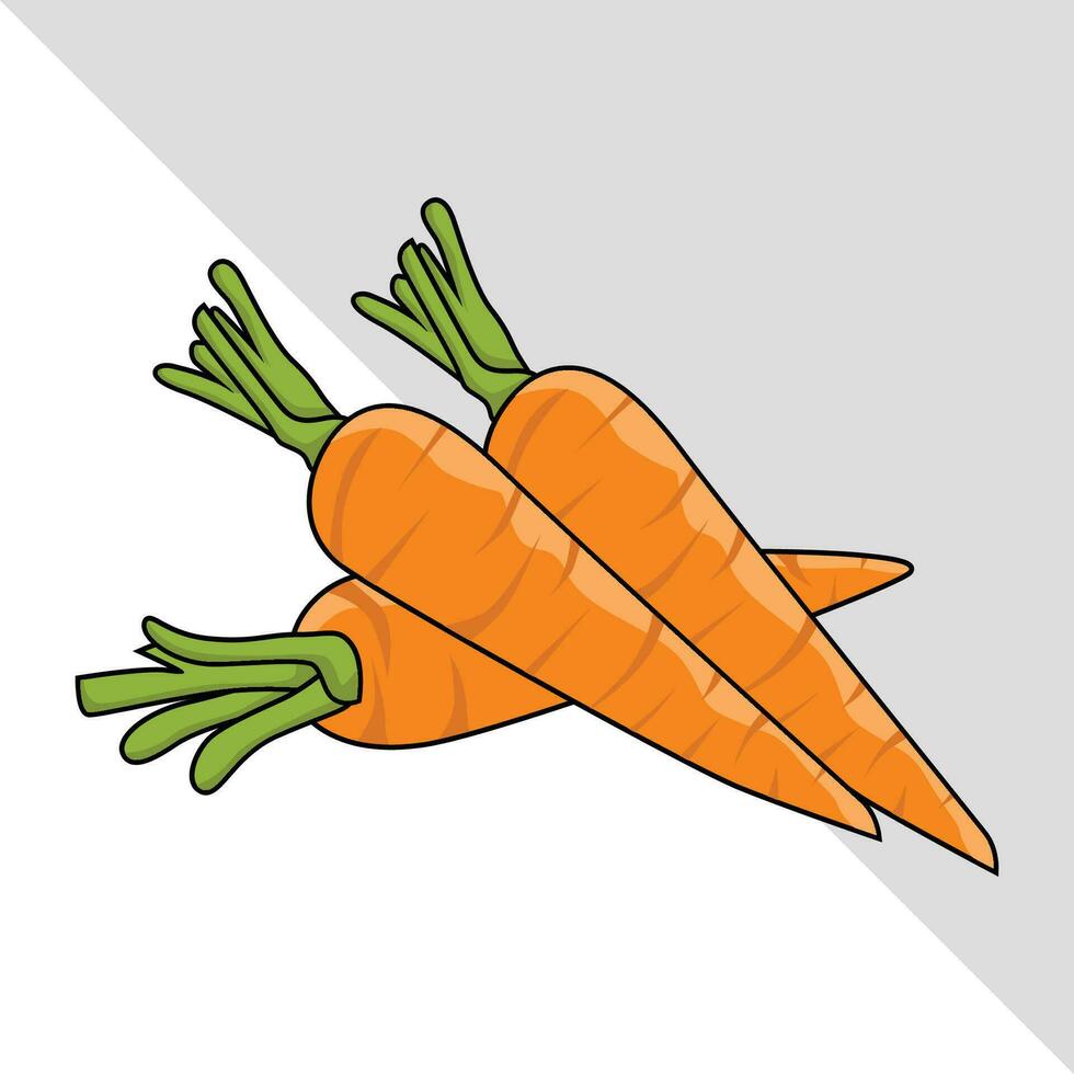 zanahorias vegetal vector ilustración con hojas aislado gráfico