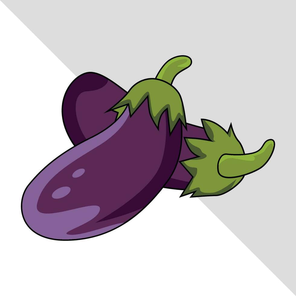 eggplant vegetable vector illustration isolated graphic