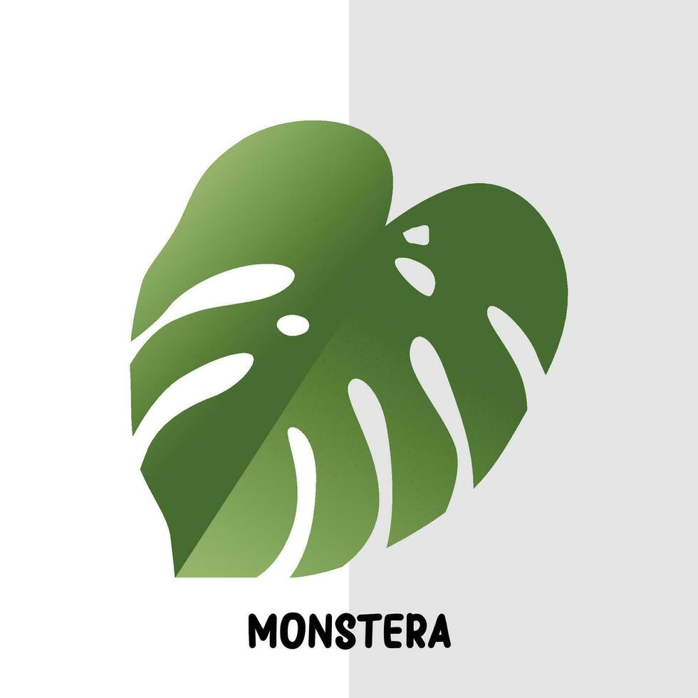 tropical leaf vector monstera plant
