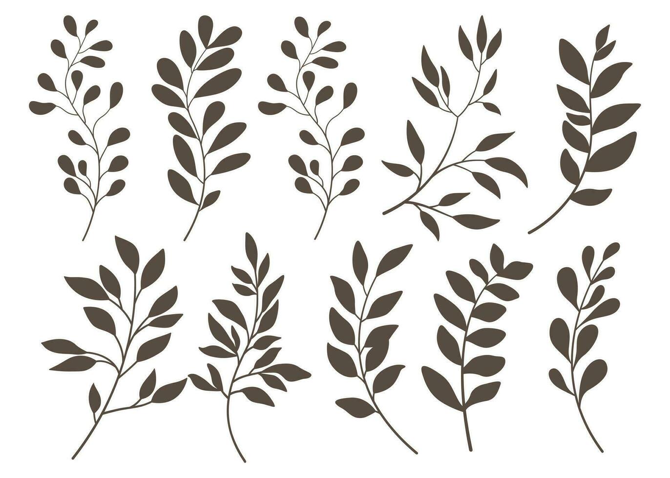 Set of leaves. Hand drawn decorative elements vector