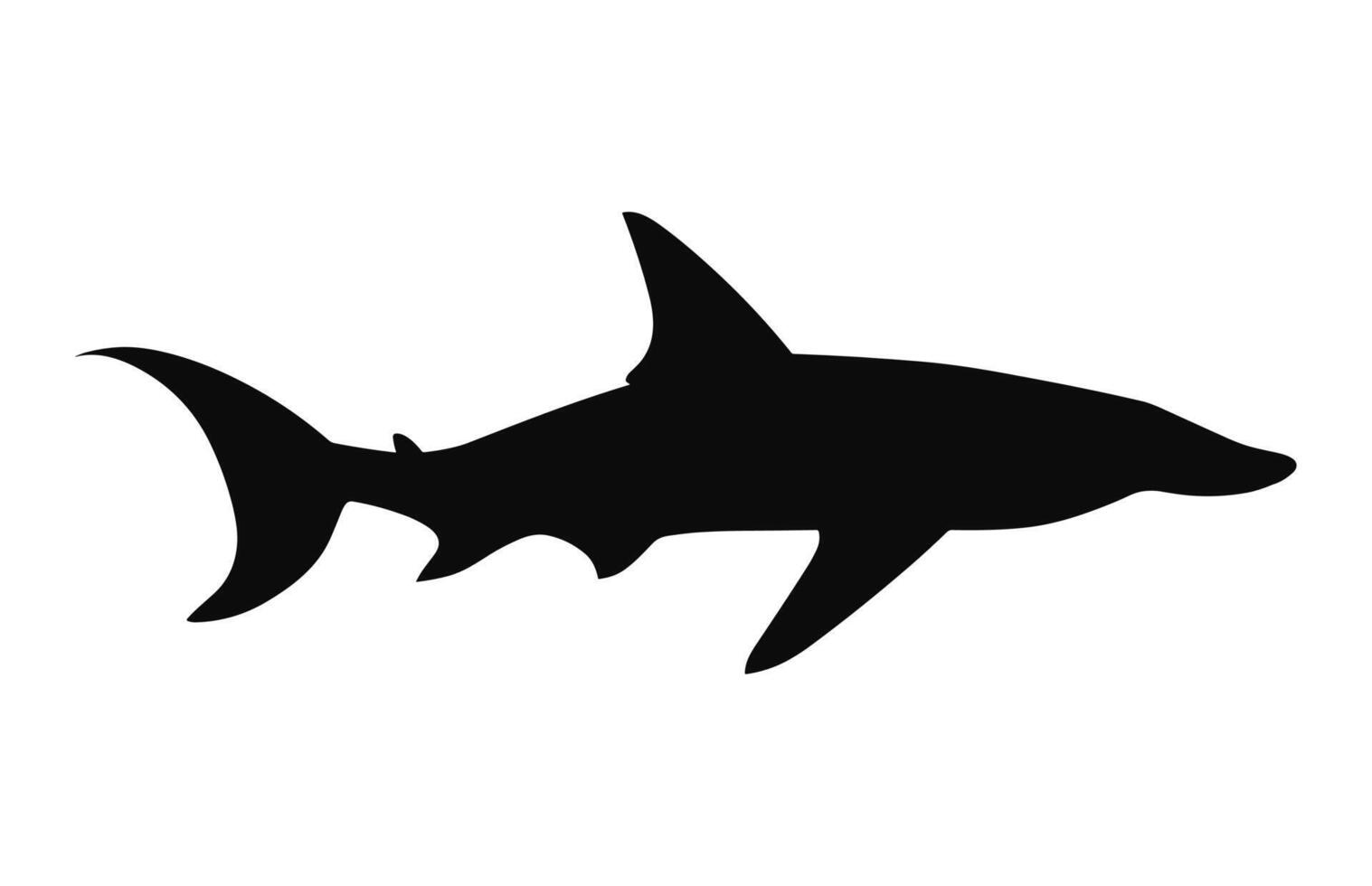 A hammerhead shark silhouette Vector free
