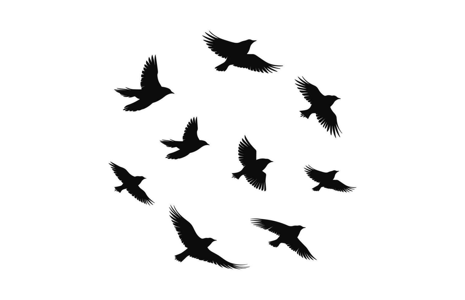 un rebaño volador aves negro silueta vector