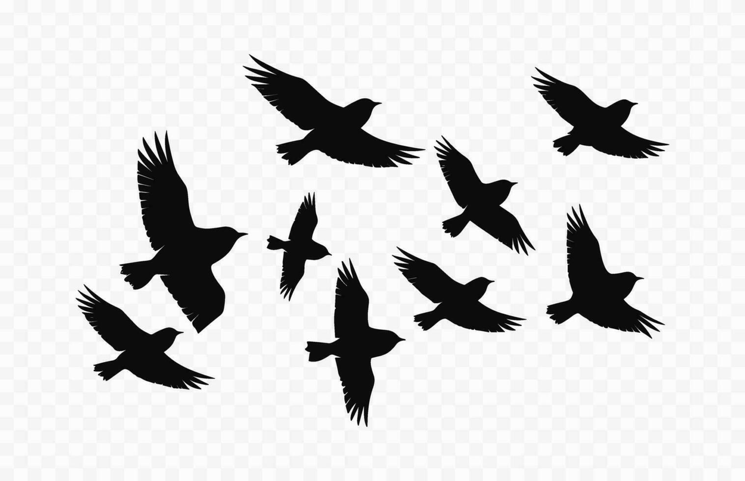 A flock of birds Silhouette isolated on a white background, Flying birds black Vector