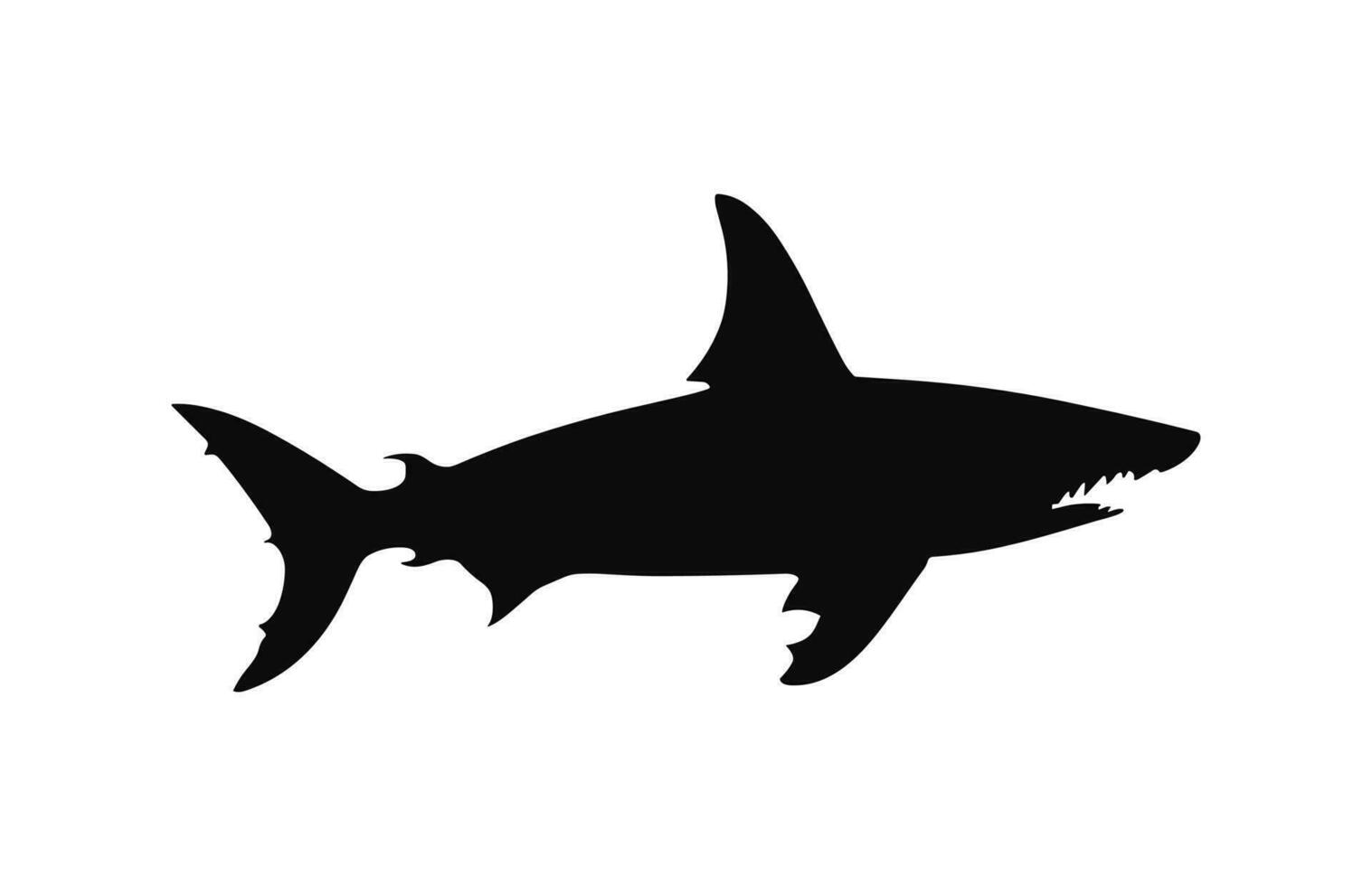 A hammerhead shark silhouette Vector isolated on a white background