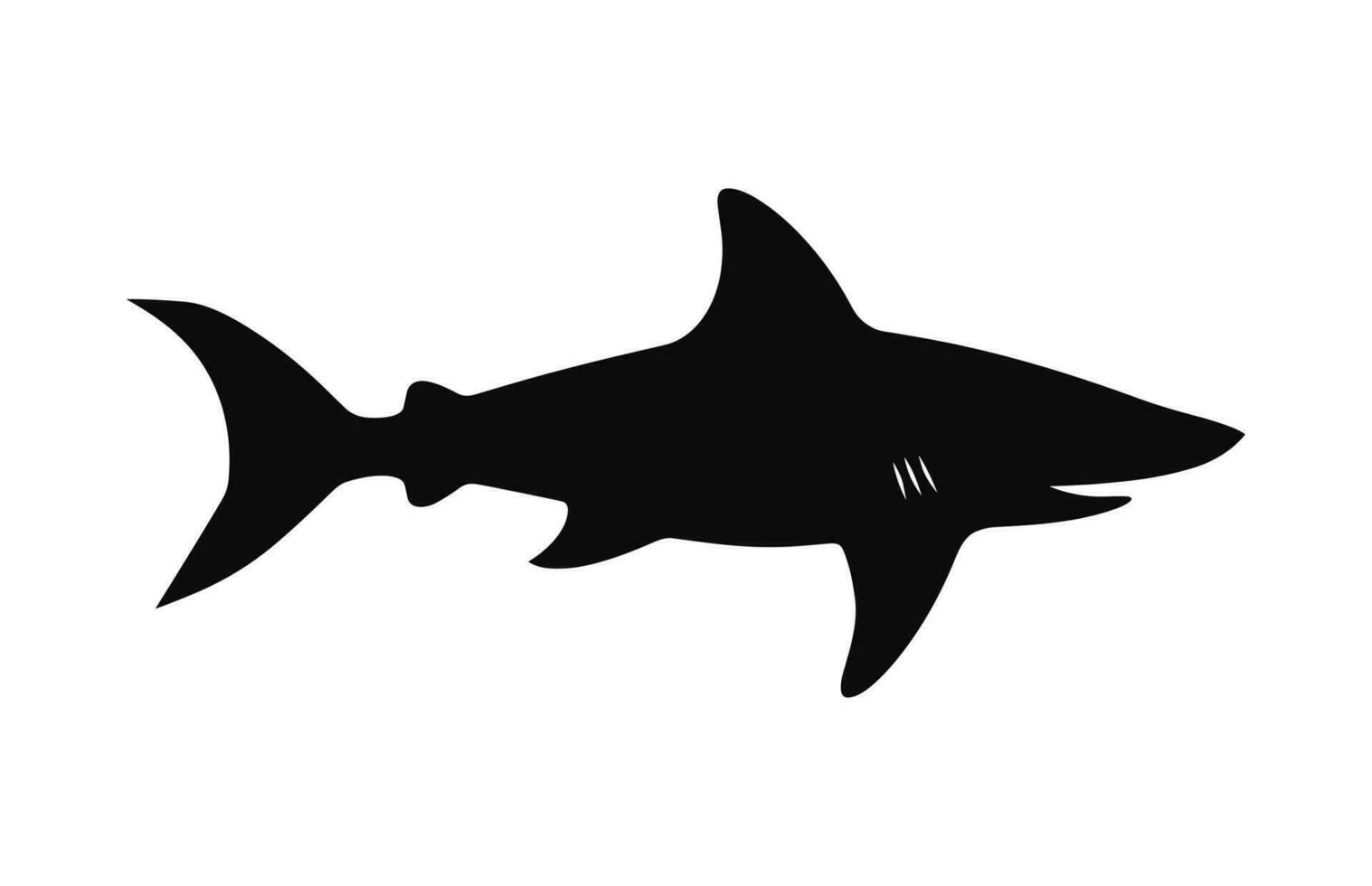 A hammerhead shark silhouette Vector