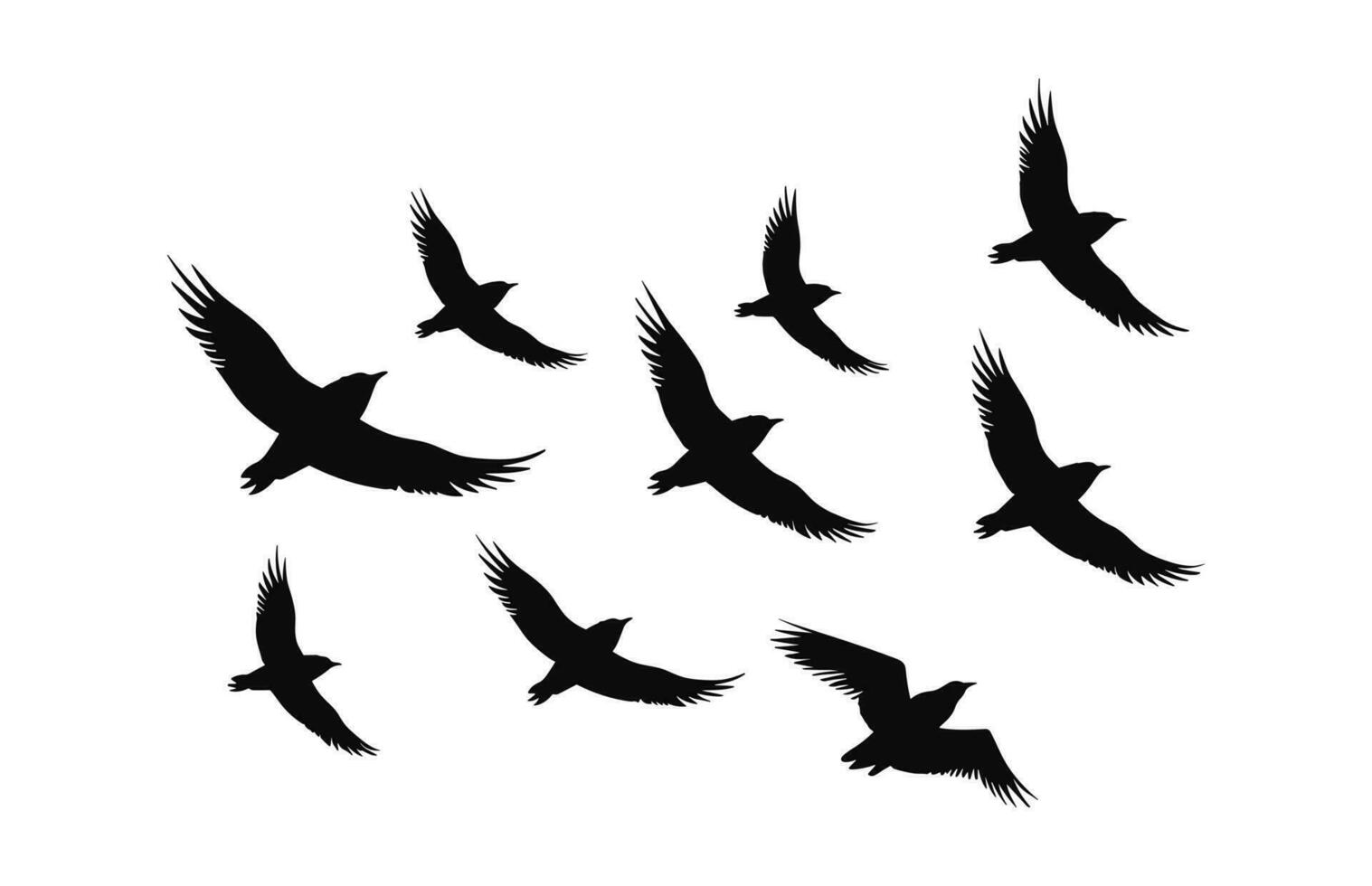 A flock of birds Silhouette isolated on a white background, Flying birds black Vector