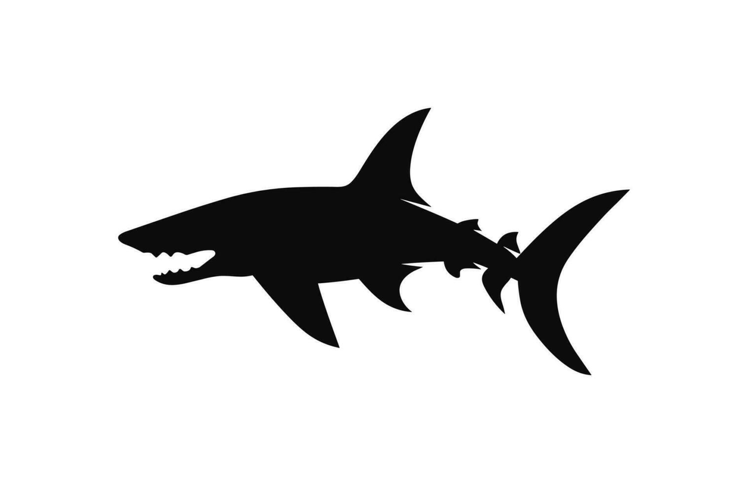 A hammerhead shark silhouette Vector