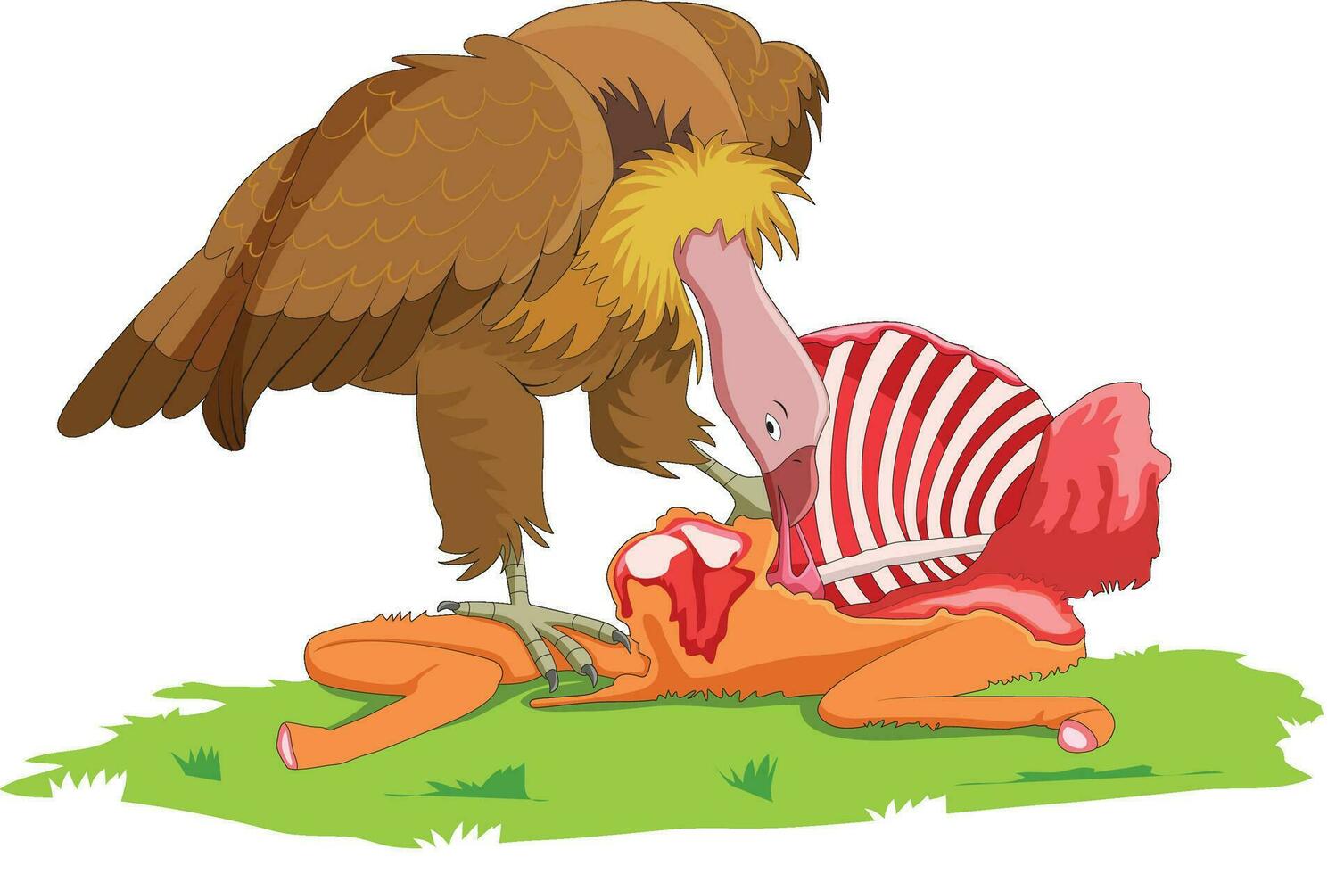 vulture eating meat vector illustration