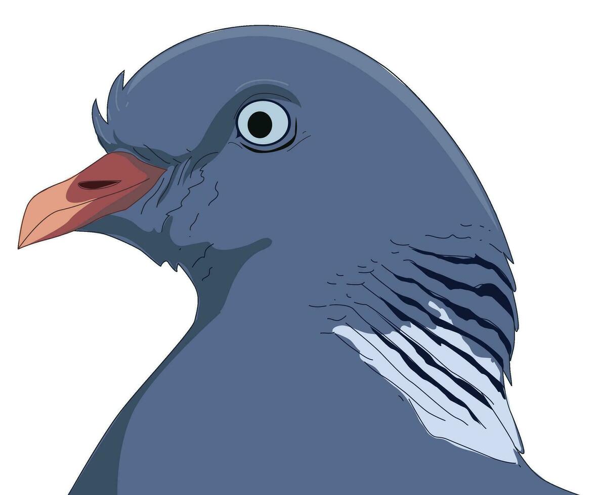 Pigeon beak isolated vector illustration