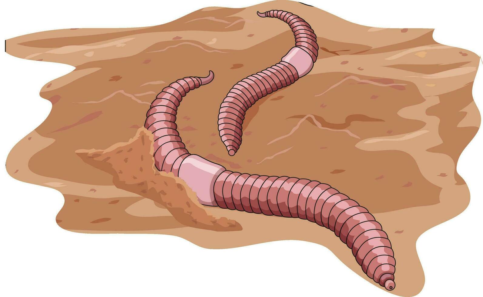 Leeches walking on sand vector