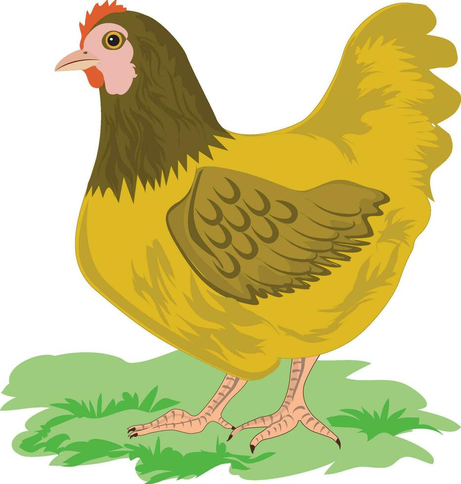 gallina sentado en césped vector