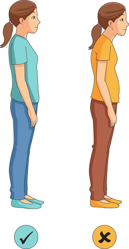 Right and wrong posture illustration vector