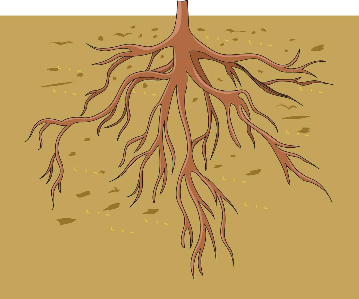 Root system under ground illustration vector