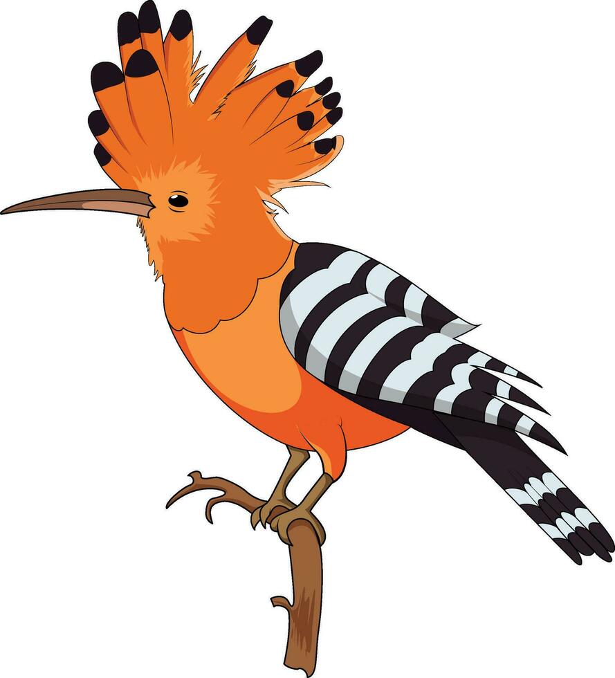 Madagascar hoopoe sitting on a tree branch vector