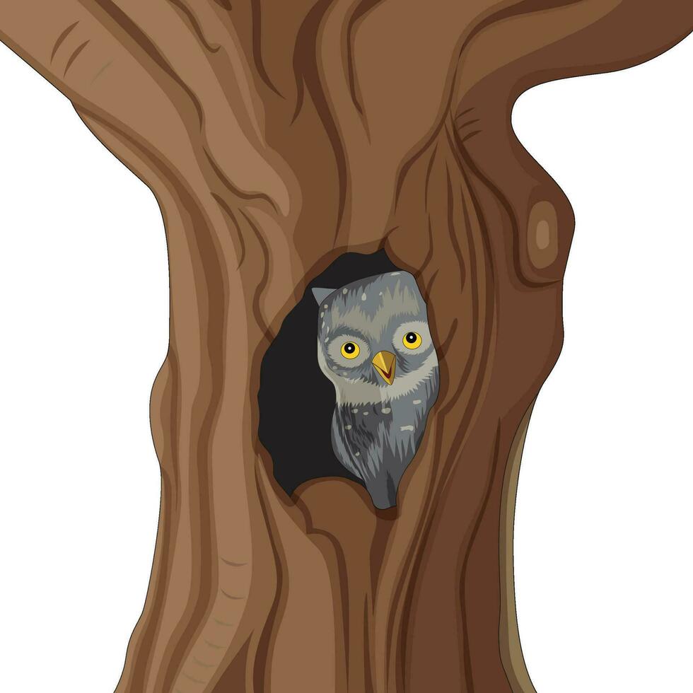 Owl peeping from a tree trunk vector