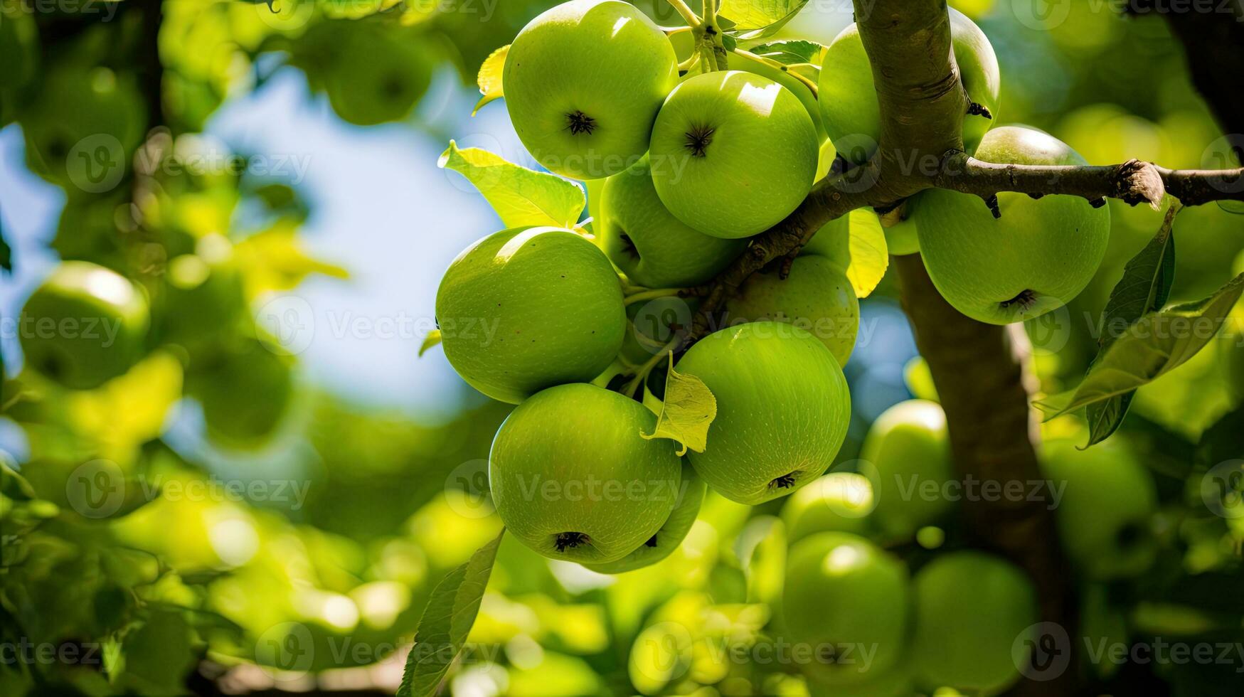 ai generado Fresco verde manzana en el campo con ligero exposición foto