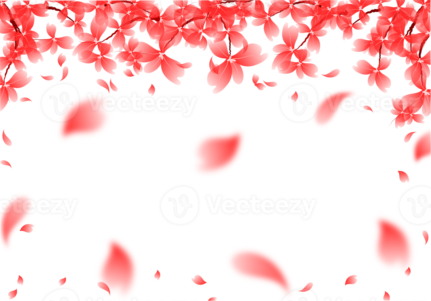 Cherry Blossom Flower Petals Falling Background. Sakura Bloom Frame. Red Flower Border Illustration png