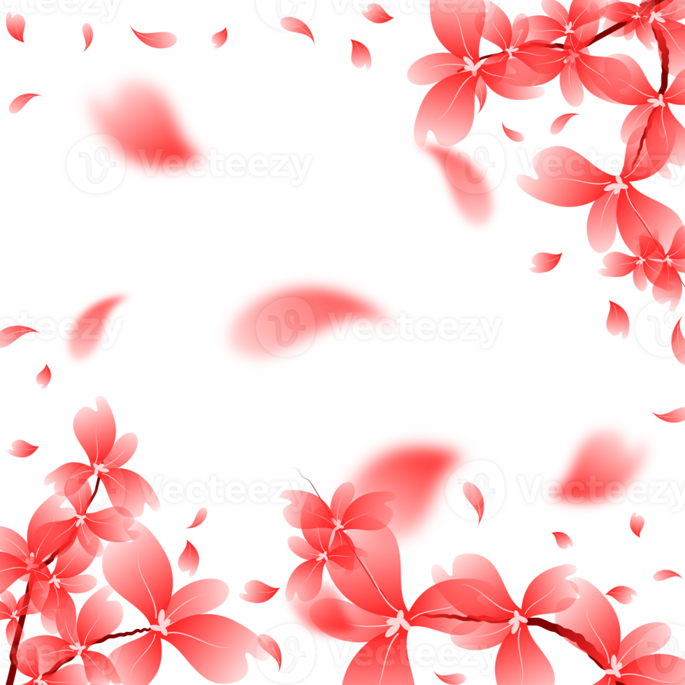 Cherry Blossom Flower Petals Falling Background. Sakura Bloom Frame. Red Flower Border Illustration png