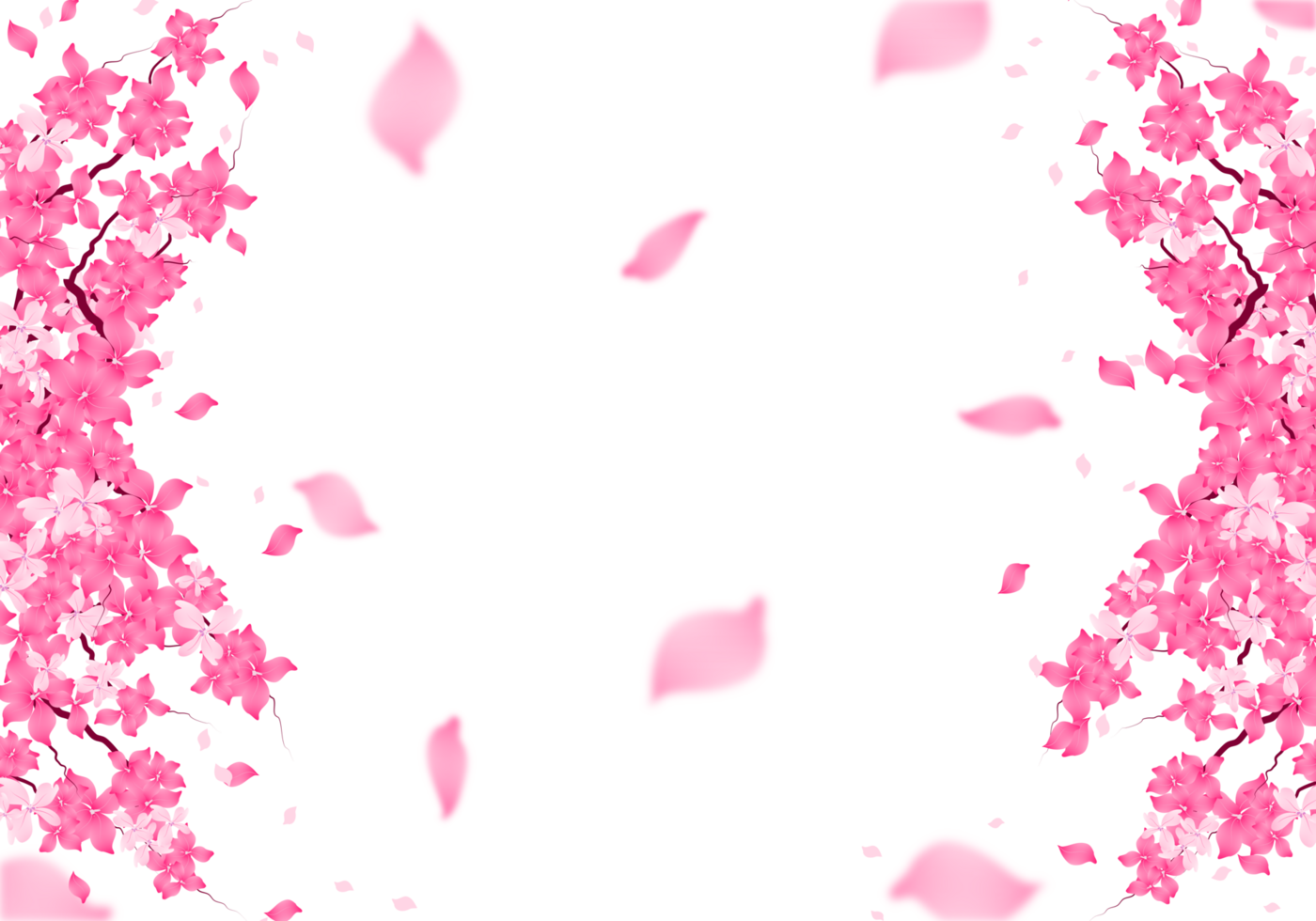 Sakura Bloom Frame Background, Cherry Blossom Frame Border Illustration. png