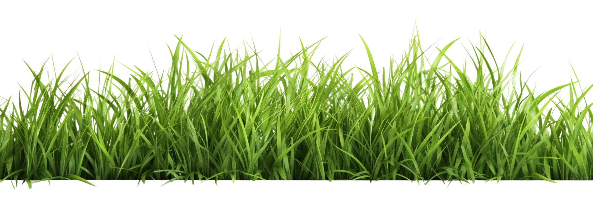 AI generated green grass on a transparent background png