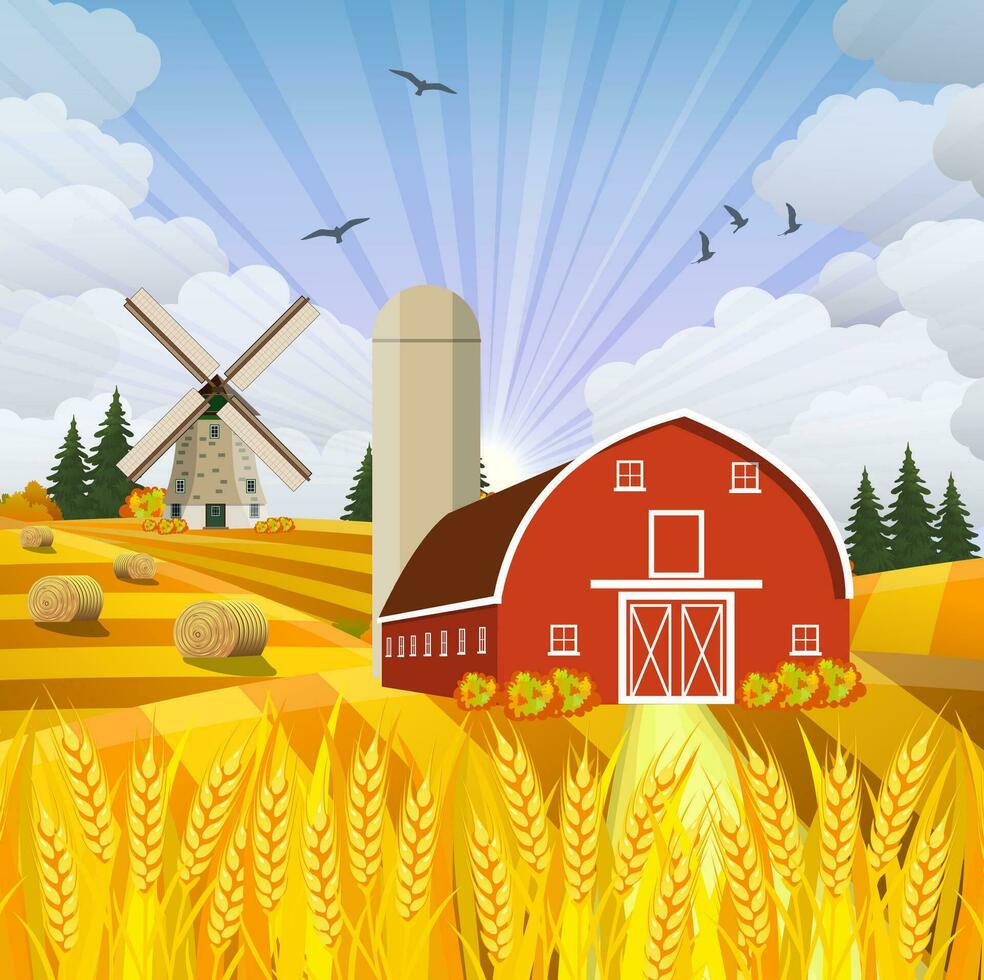 Cartoon beautiful fall farm scene vector