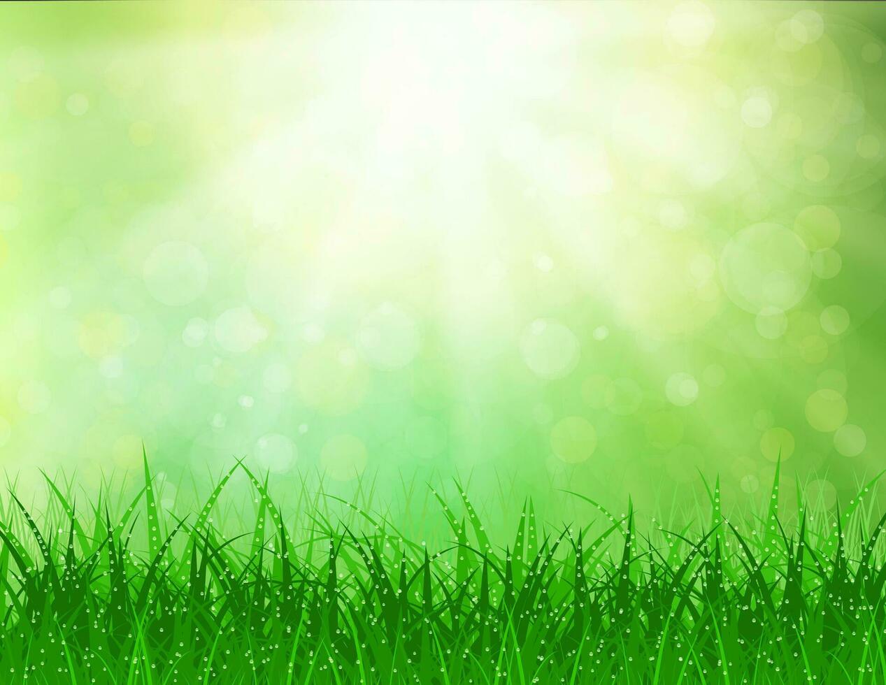 Beautiful Spring background vector