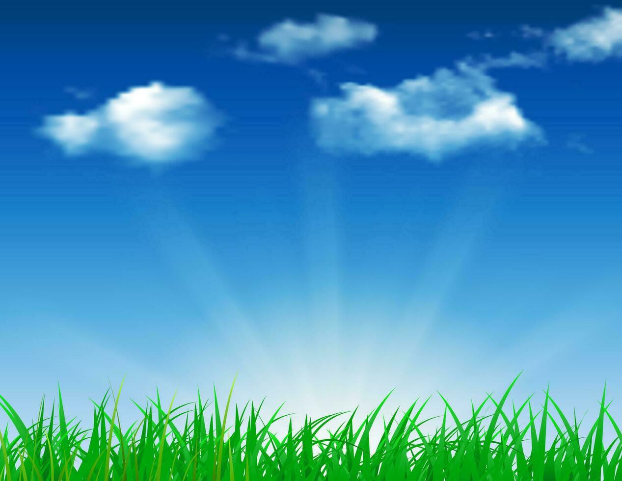 daisy vector background summer design