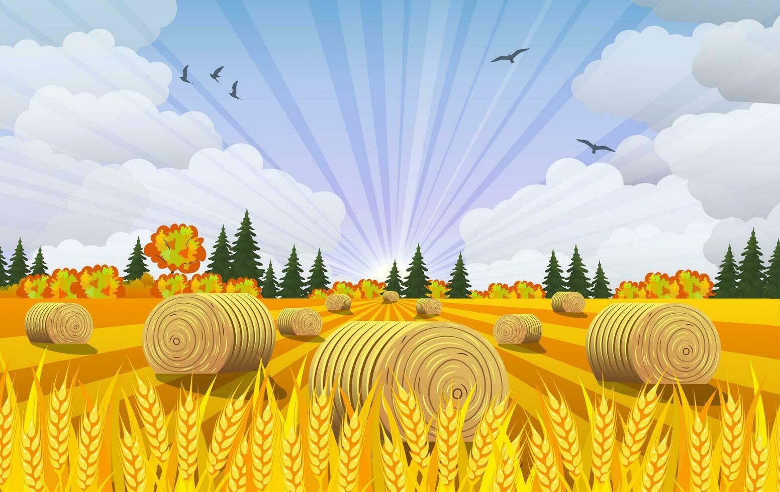 Countryside landscape with haystacks on fields. vector