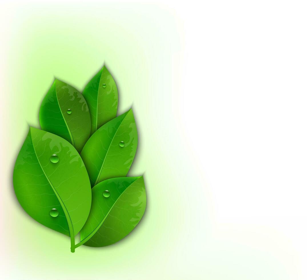 green leaves on a white background vector