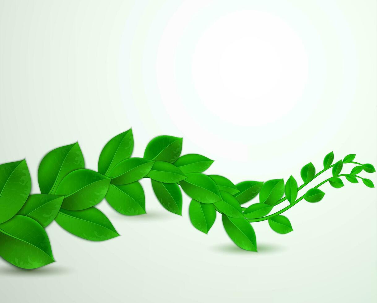 green leaves on a white background vector