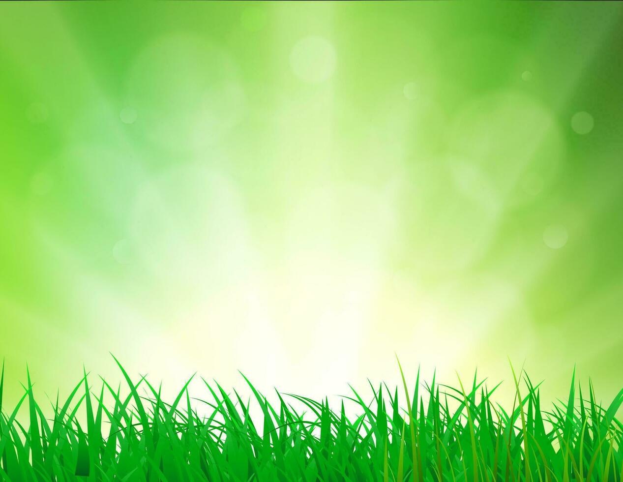 Beautiful Spring background vector