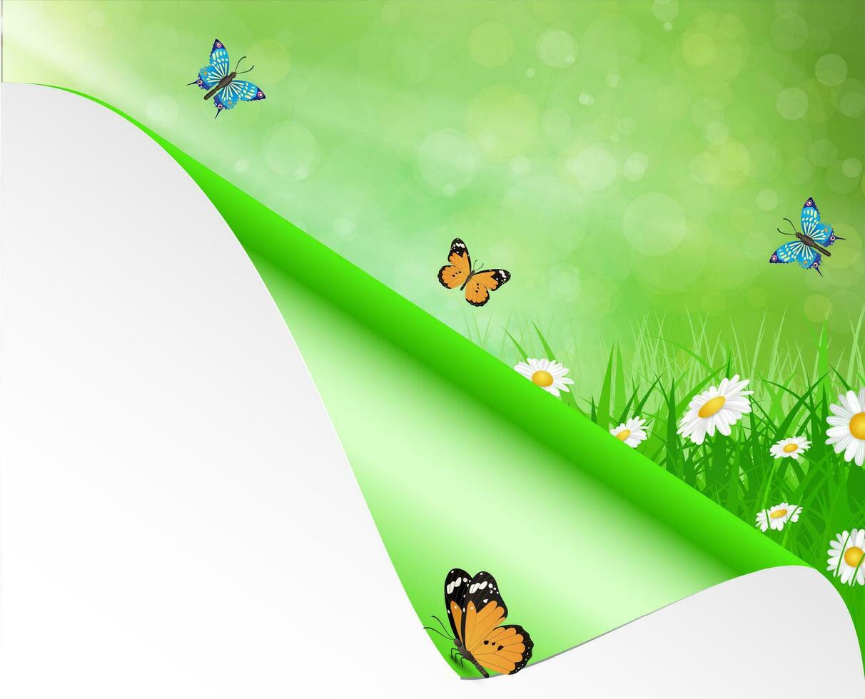 Spring background with sky, flowers, grass vector